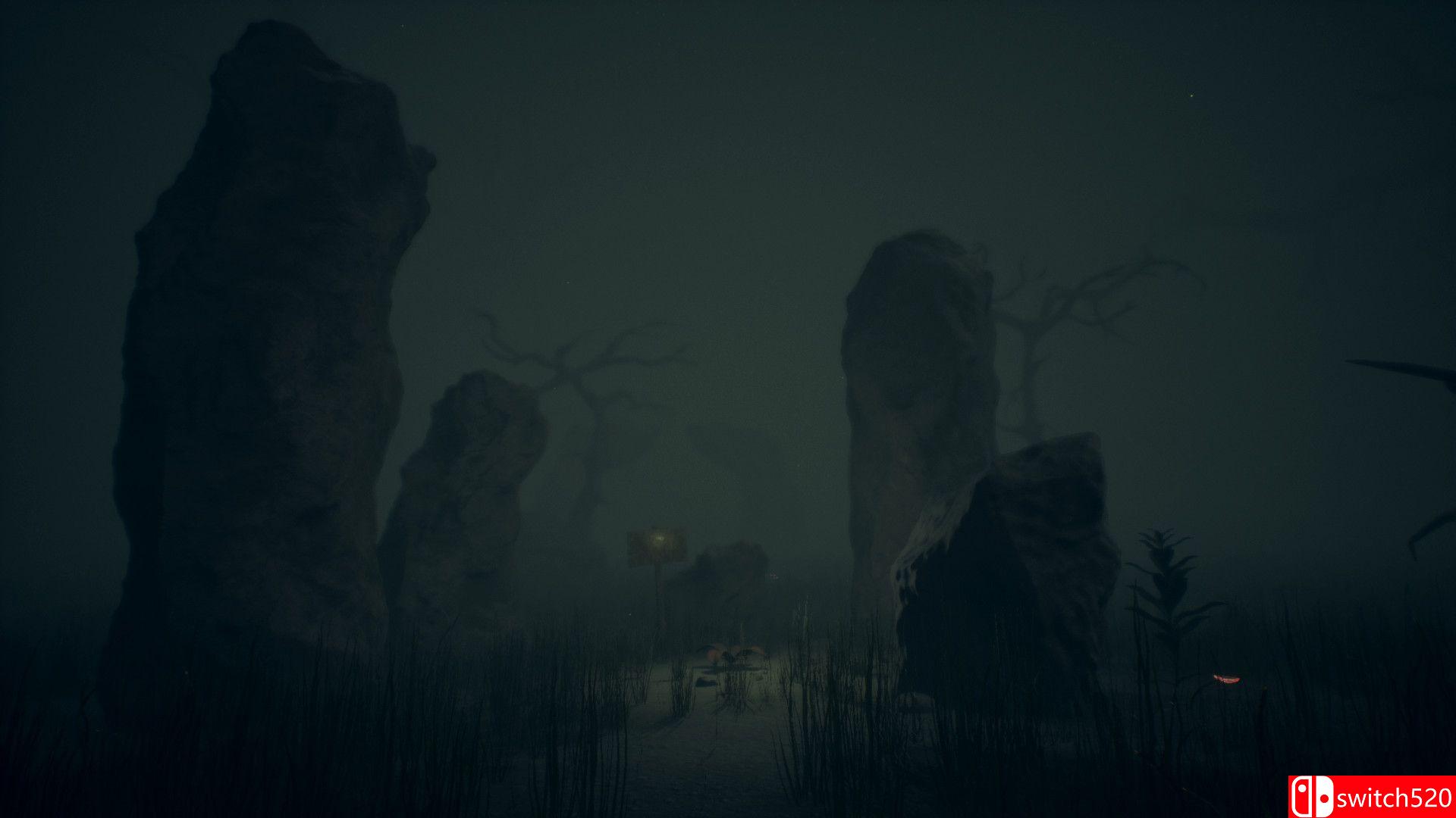 《深思熟虑》游戏截图2