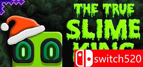《真正的史莱姆王》游戏封面图