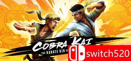 《眼镜蛇凯：空手道小子传奇续集》游戏封面图