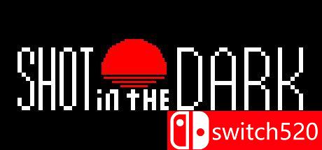 《在黑暗中射击（Shot in the Dark）》游戏封面图