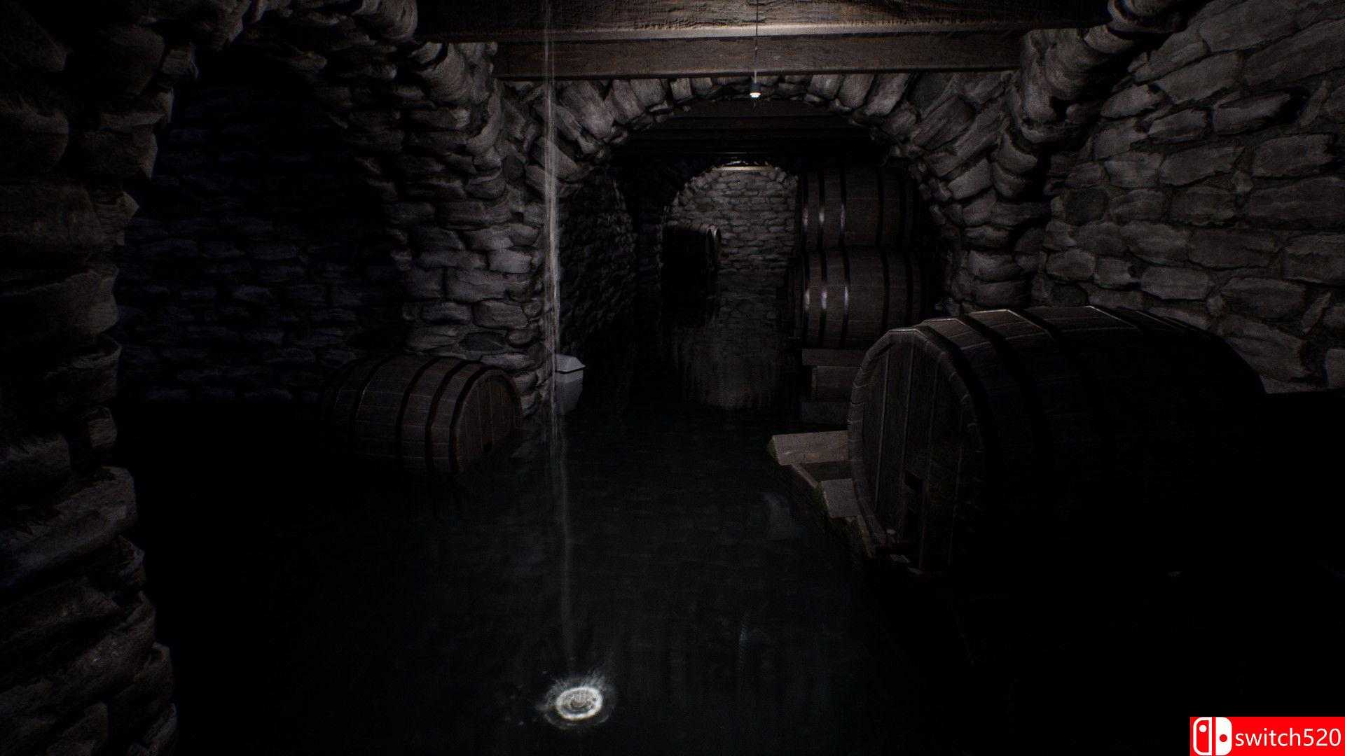 《苦难大厦》游戏截图4