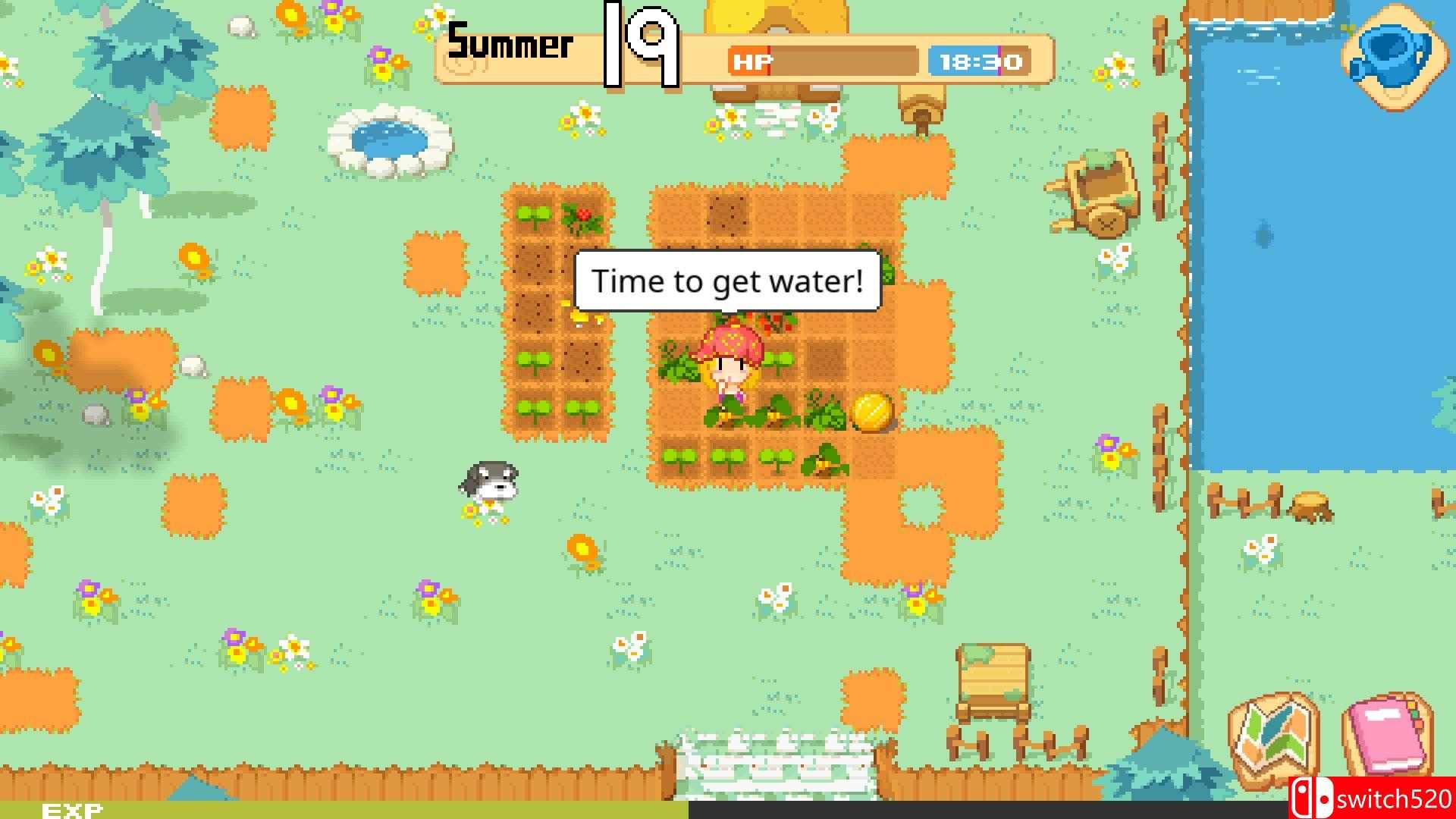 《农场》游戏截图5