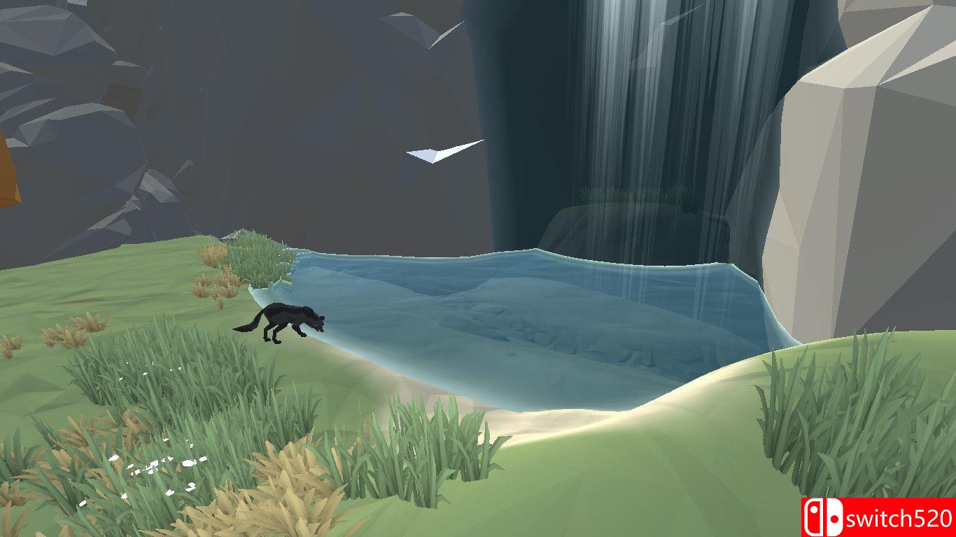 《茂密森林》游戏截图3