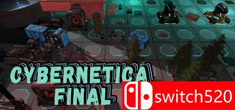 《网络学：最终（Cybernetica: Final）》VACE硬盘版[EN]_0