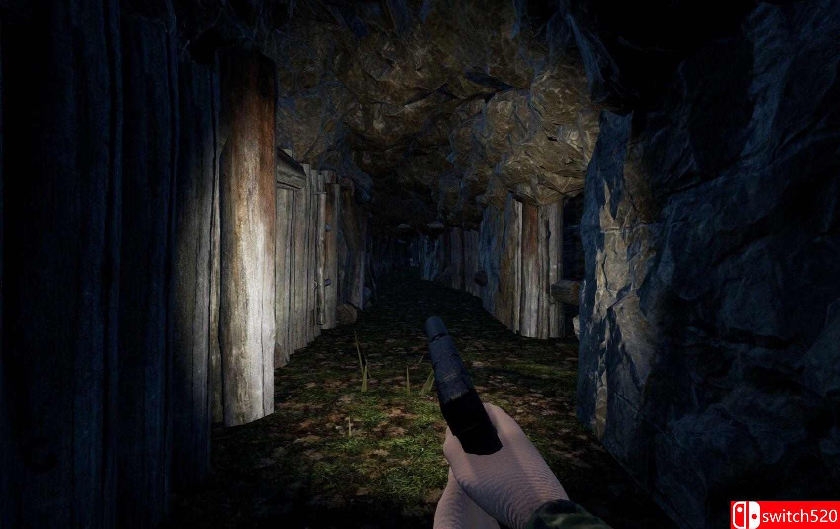 《复仇者》游戏截图2