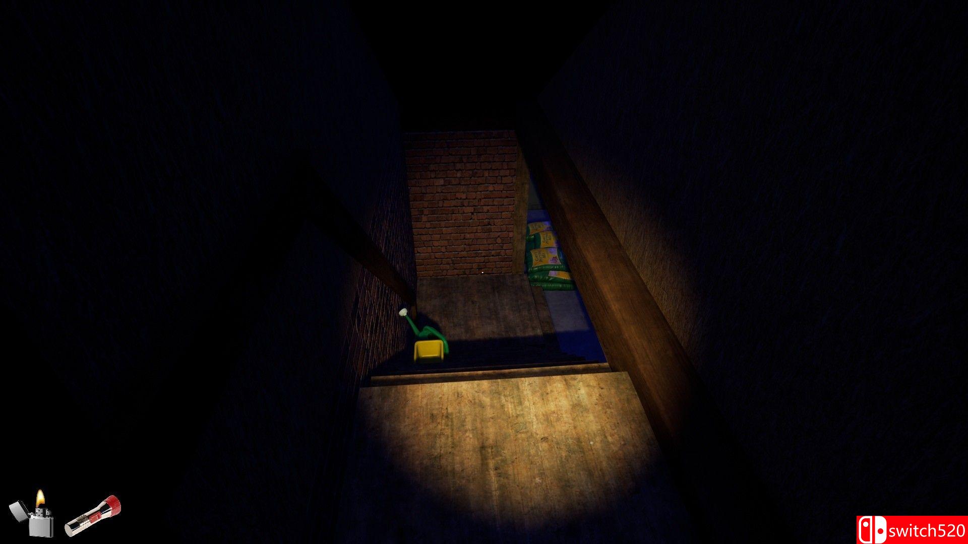 《我家我做主》游戏截图4