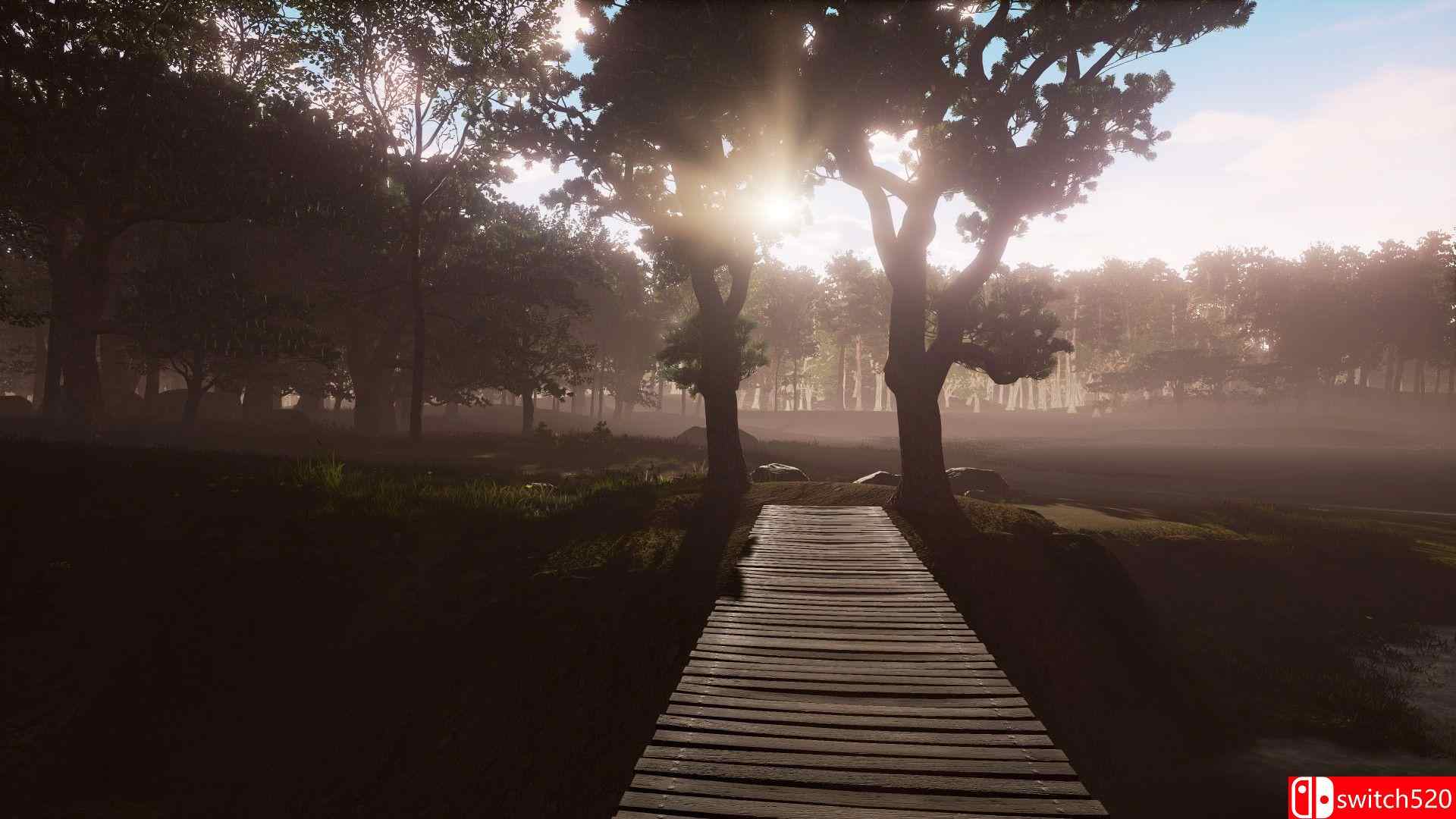 ZendoVR游戏截图2