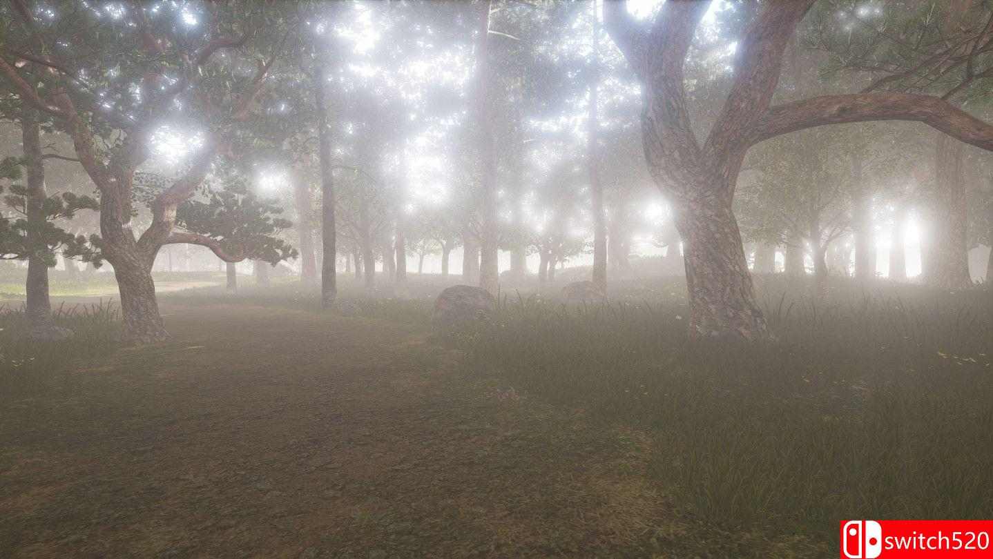 ZendoVR游戏截图3