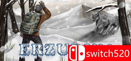 《Erzurum》游戏封面