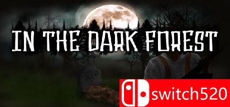 《在黑暗森林（In the dark forest）》DARKZER0硬盘版封面图