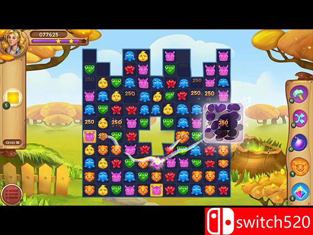 《野生动物比赛》游戏截图3