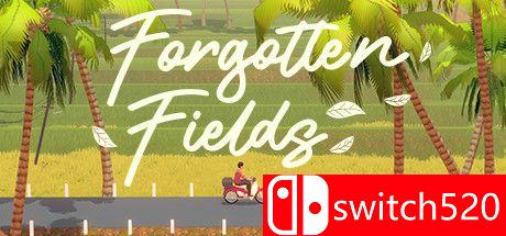 《被遗忘的田野（Forgotten Fields）》游戏封面
