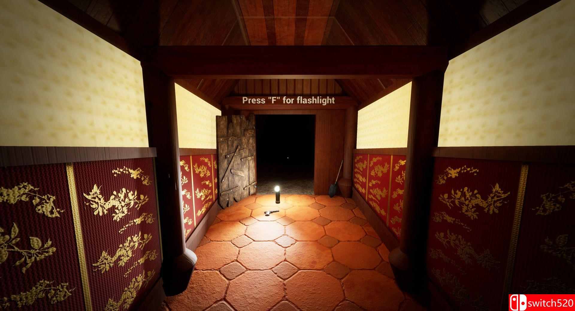 《心灵阴影》游戏截图1