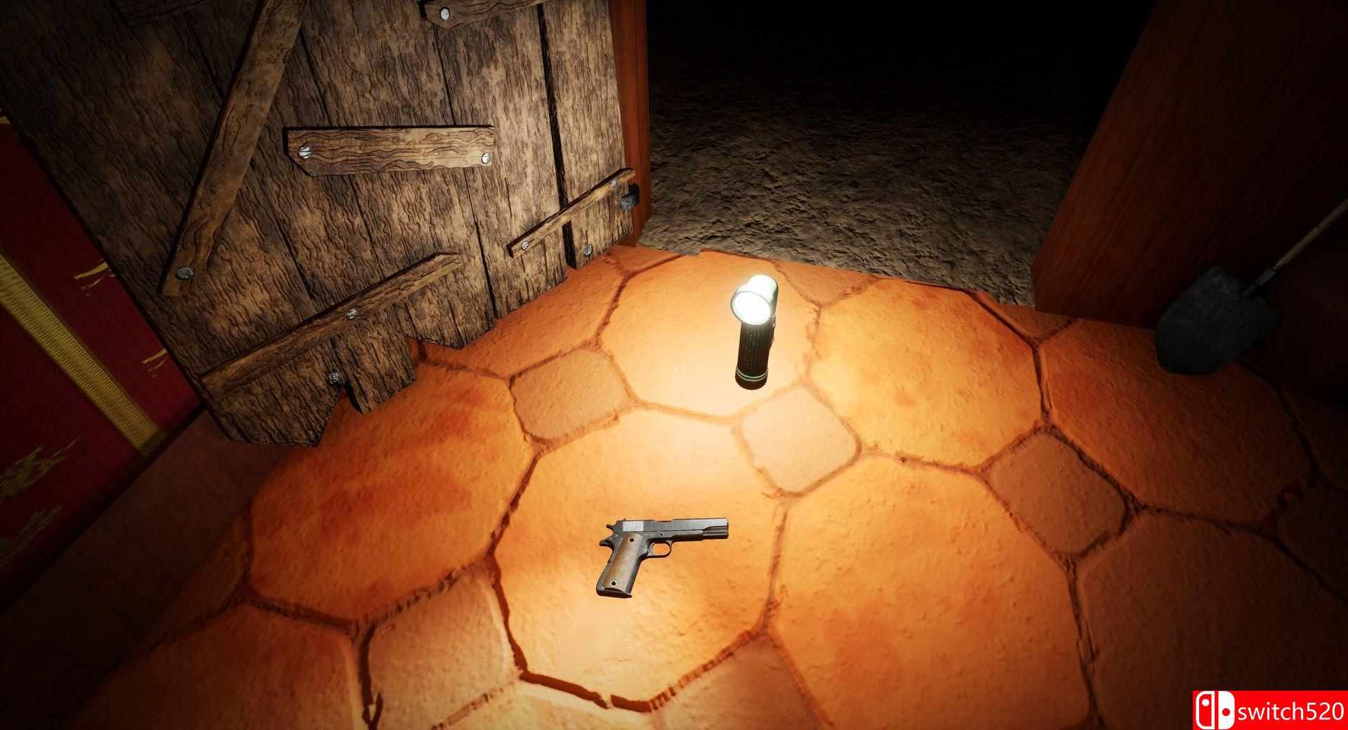 《心灵阴影》游戏截图2