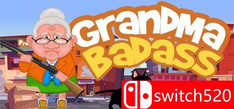 坏蛋奶奶游戏封面图