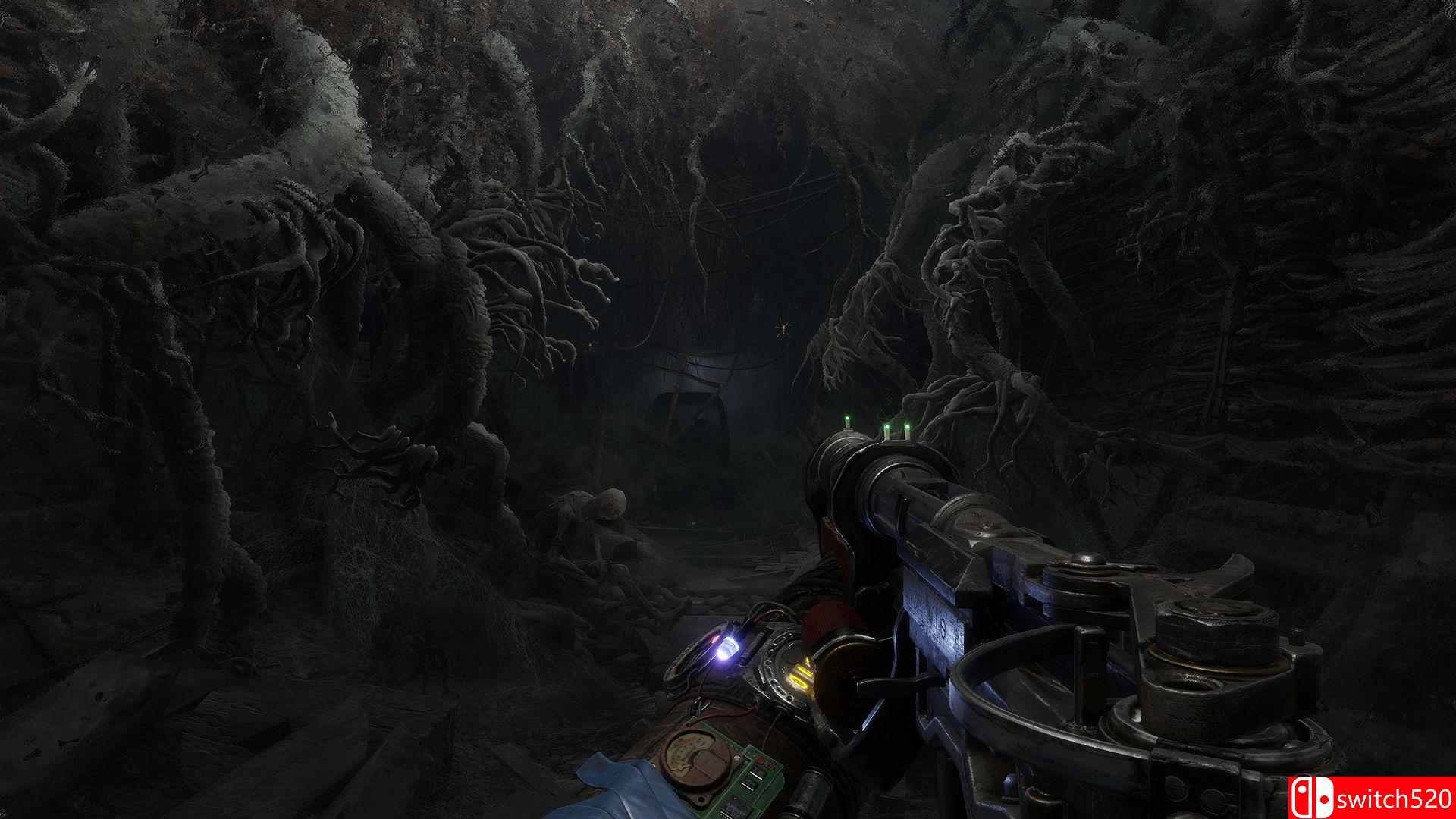 《地铁：逃离（Metro Exodus）》官方中文 增强版 CODEX镜像版[CN/TW/EN/JP]_2