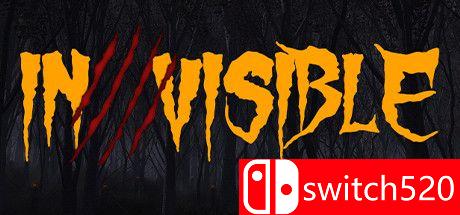 游戏《隐形（Invisible）》封面图