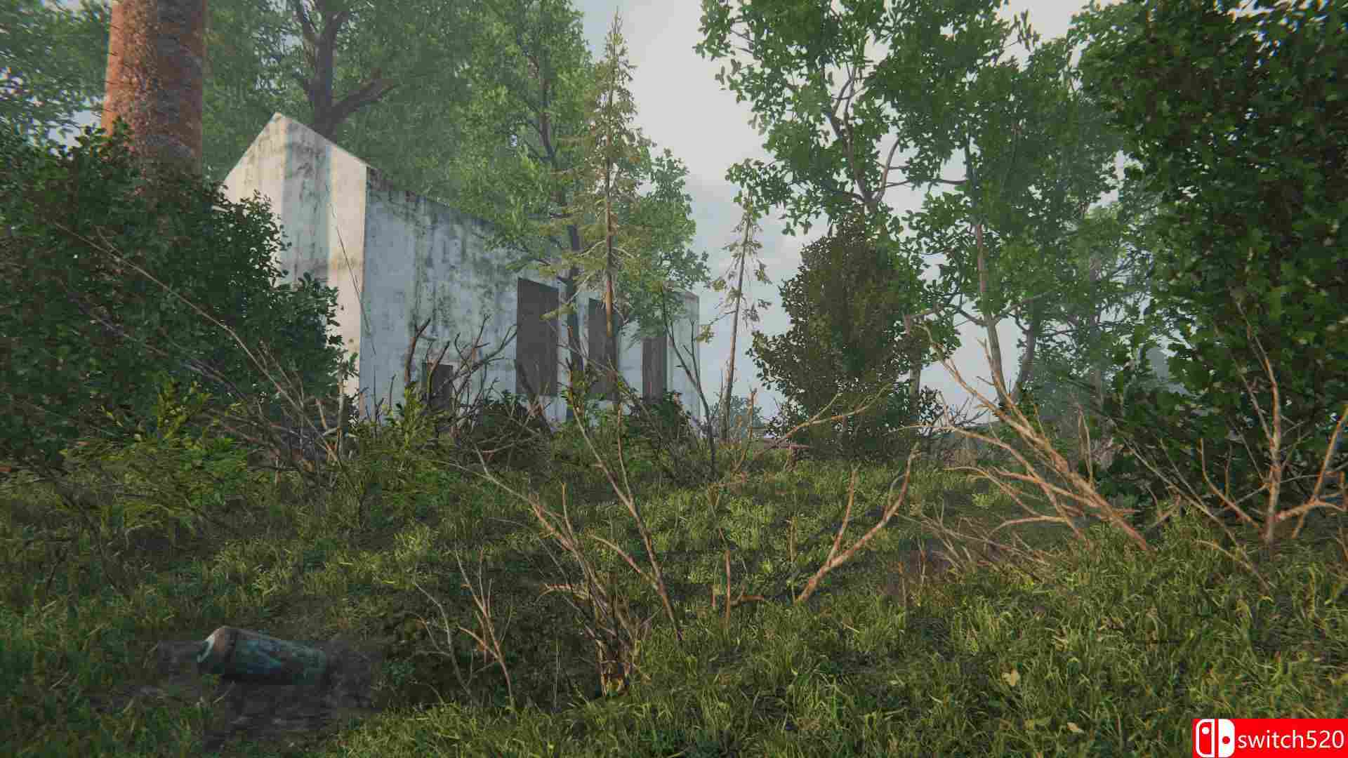 《风静之地（Where Wind Becomes Quiet）》SKIDROW镜像版[EN]_3