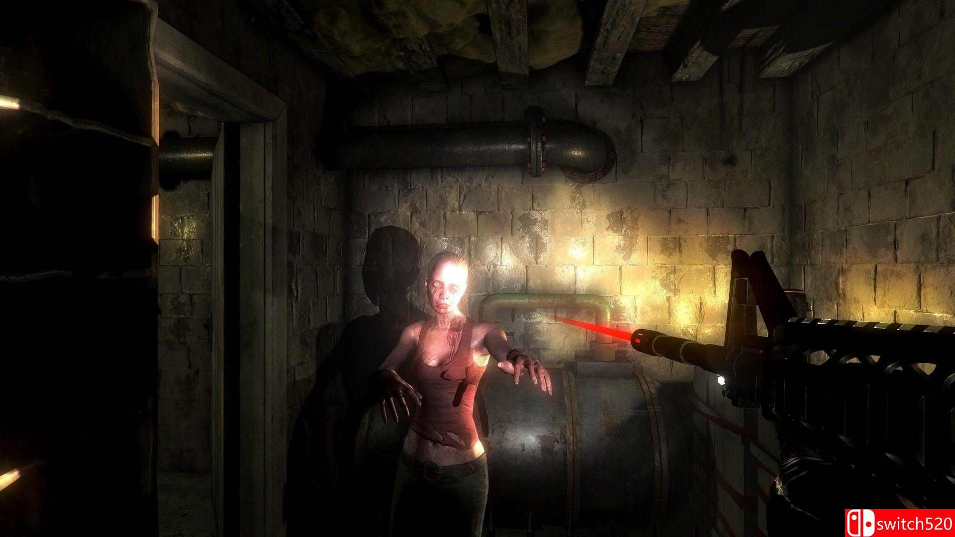 《爆发：无尽的噩梦（Outbreak: Endless Nightmares）》DOGE镜像版[EN]_3