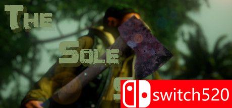 《唯一的幸存者（The Sole Survivor）》游戏封面