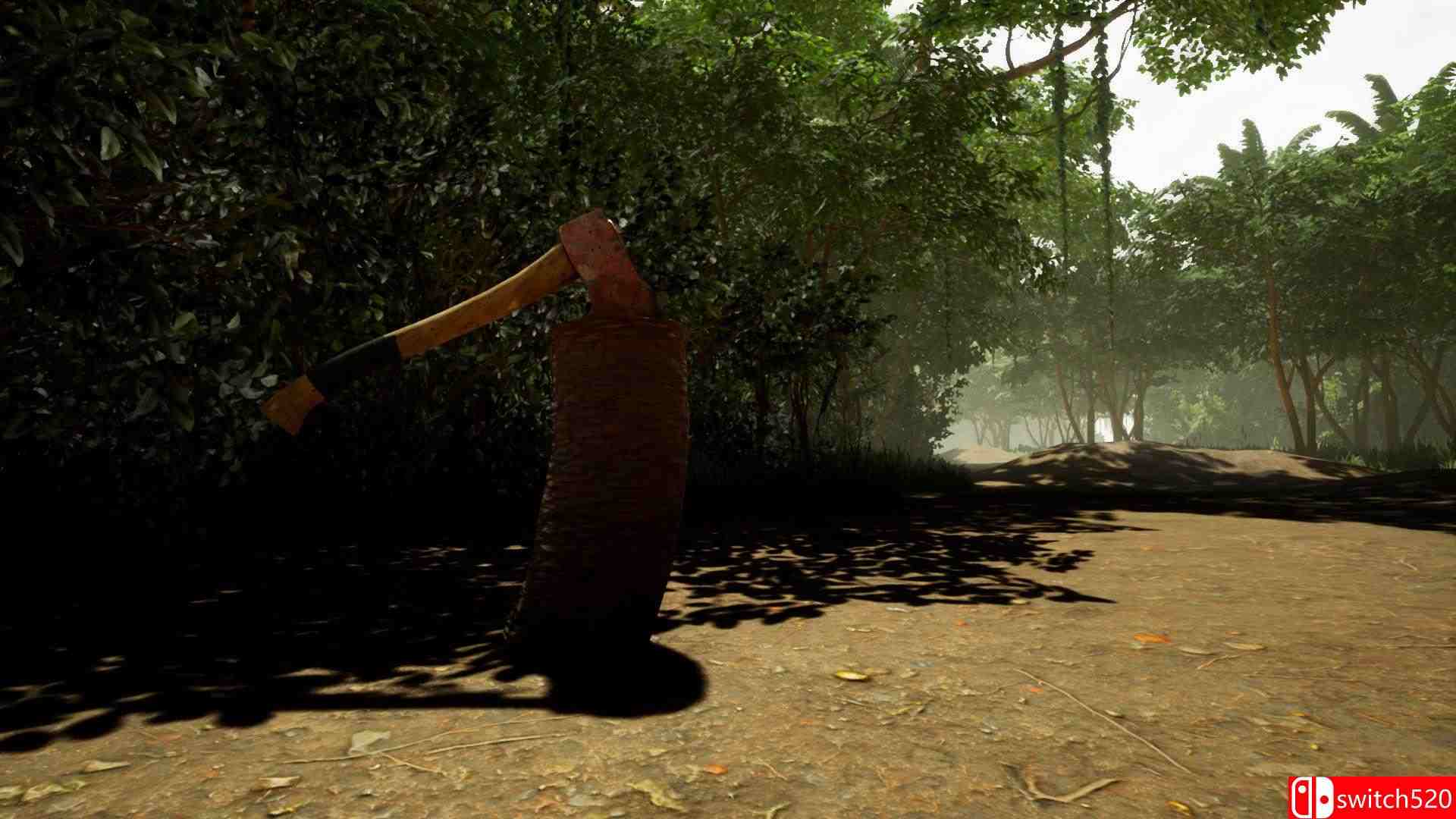 《唯一的幸存者》游戏截图3