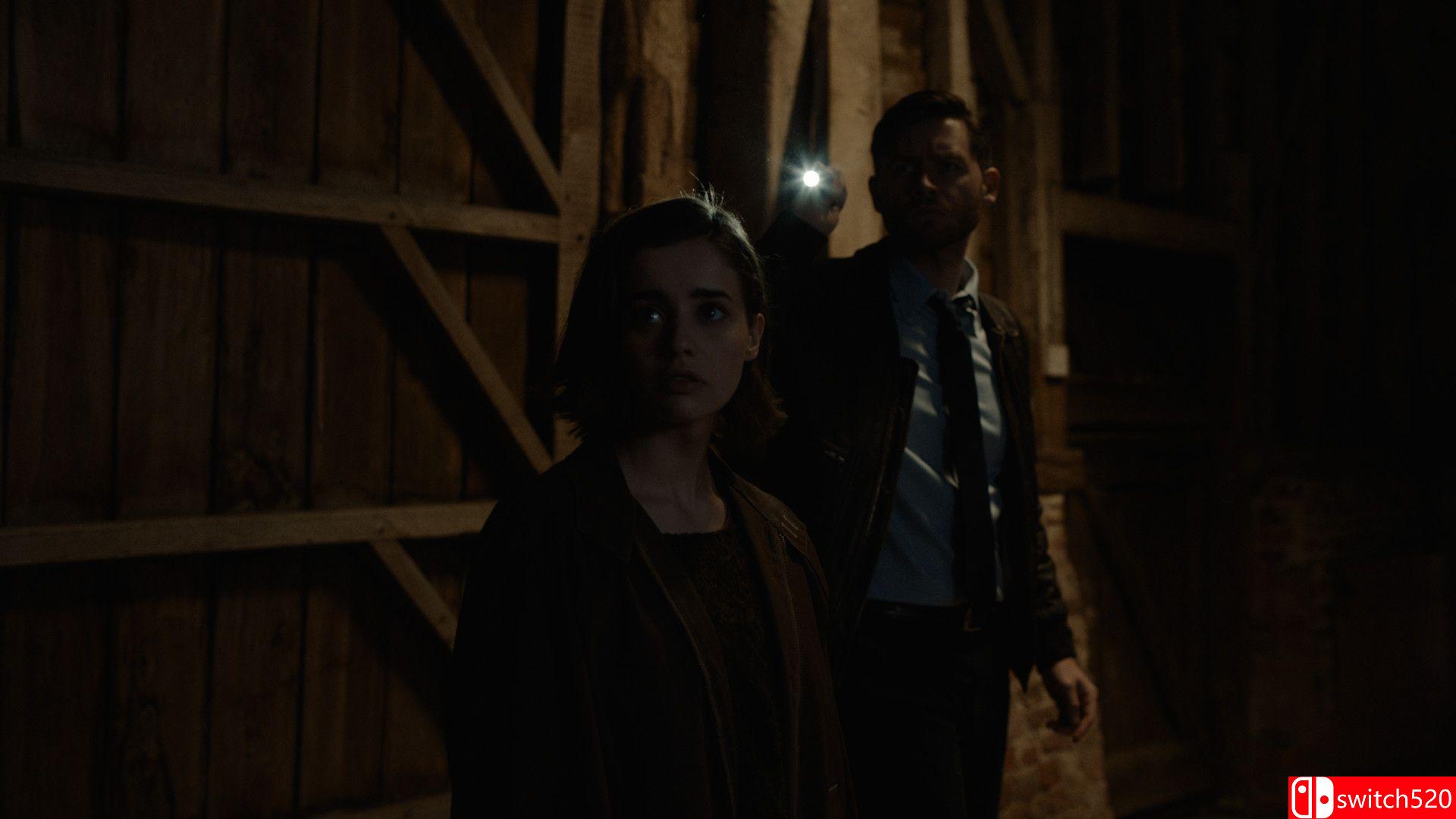 《艾瑞卡（Erica）》游戏截图3