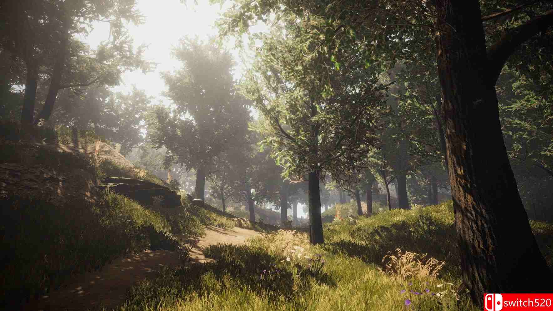 城堡脚蹼游戏截图5