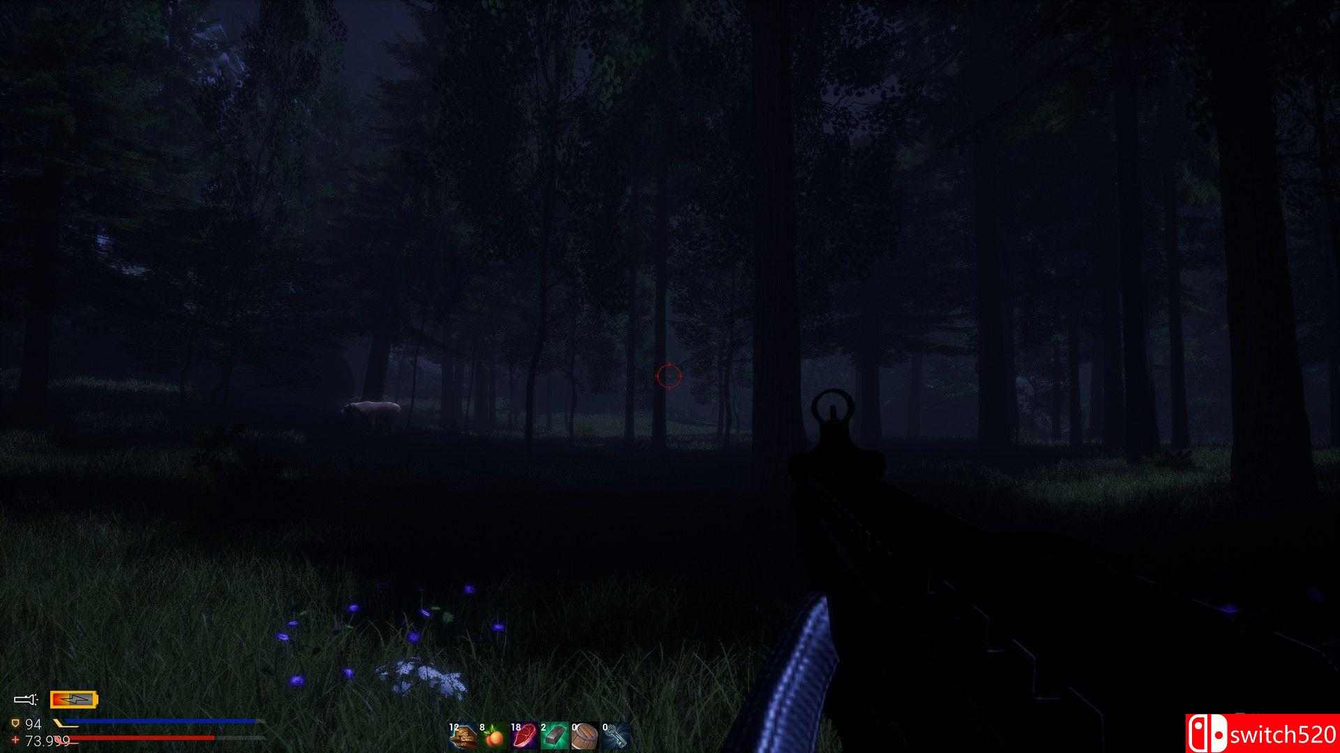 《阿瓦隆生存》游戏截图2