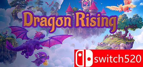 《龙的崛起（Dragon Rising）》官方中文 DARKZER0硬盘版封面图