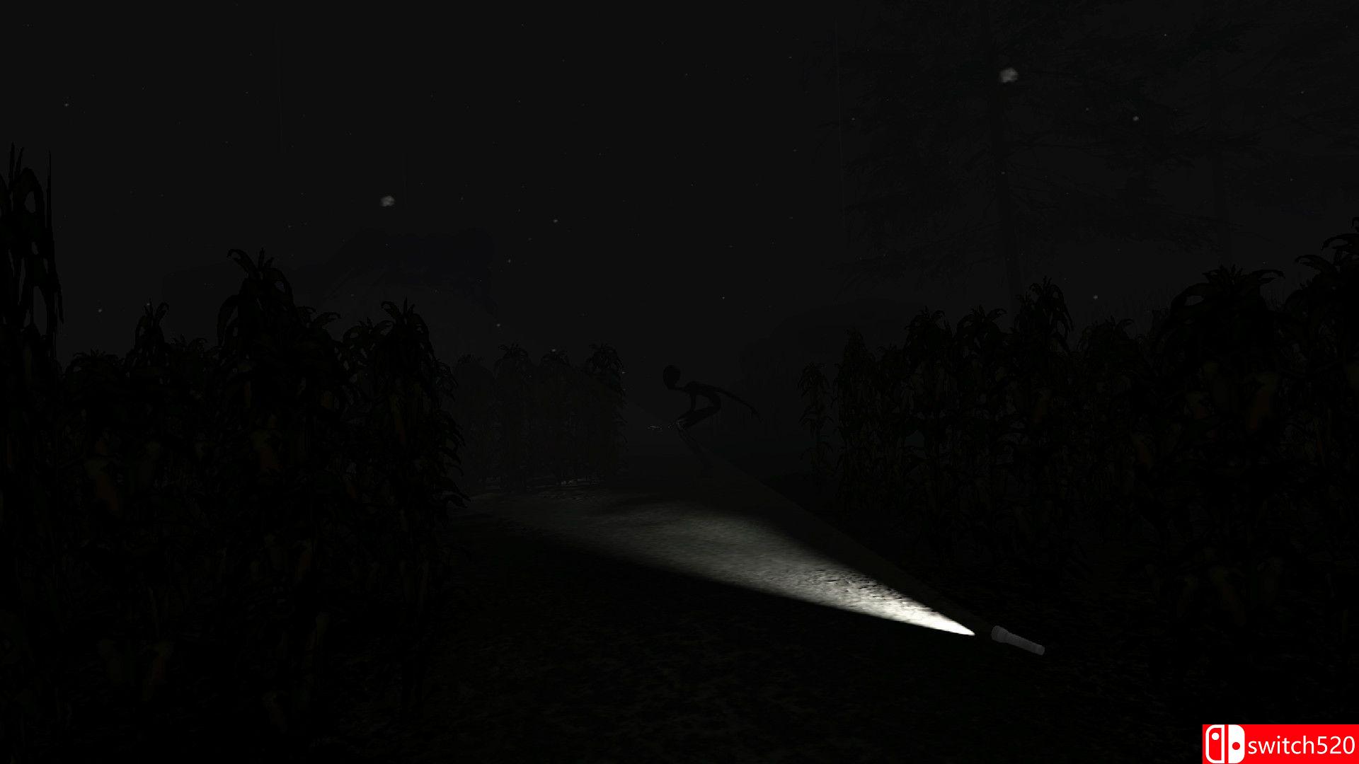 《黑暗收割》游戏截图2