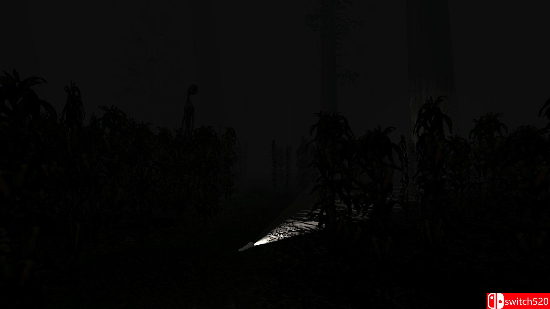 《黑暗收割》游戏截图5