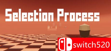 《选择过程（Selection Process）》游戏主图
