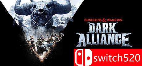 《龙与地下城：黑暗联盟》游戏主图