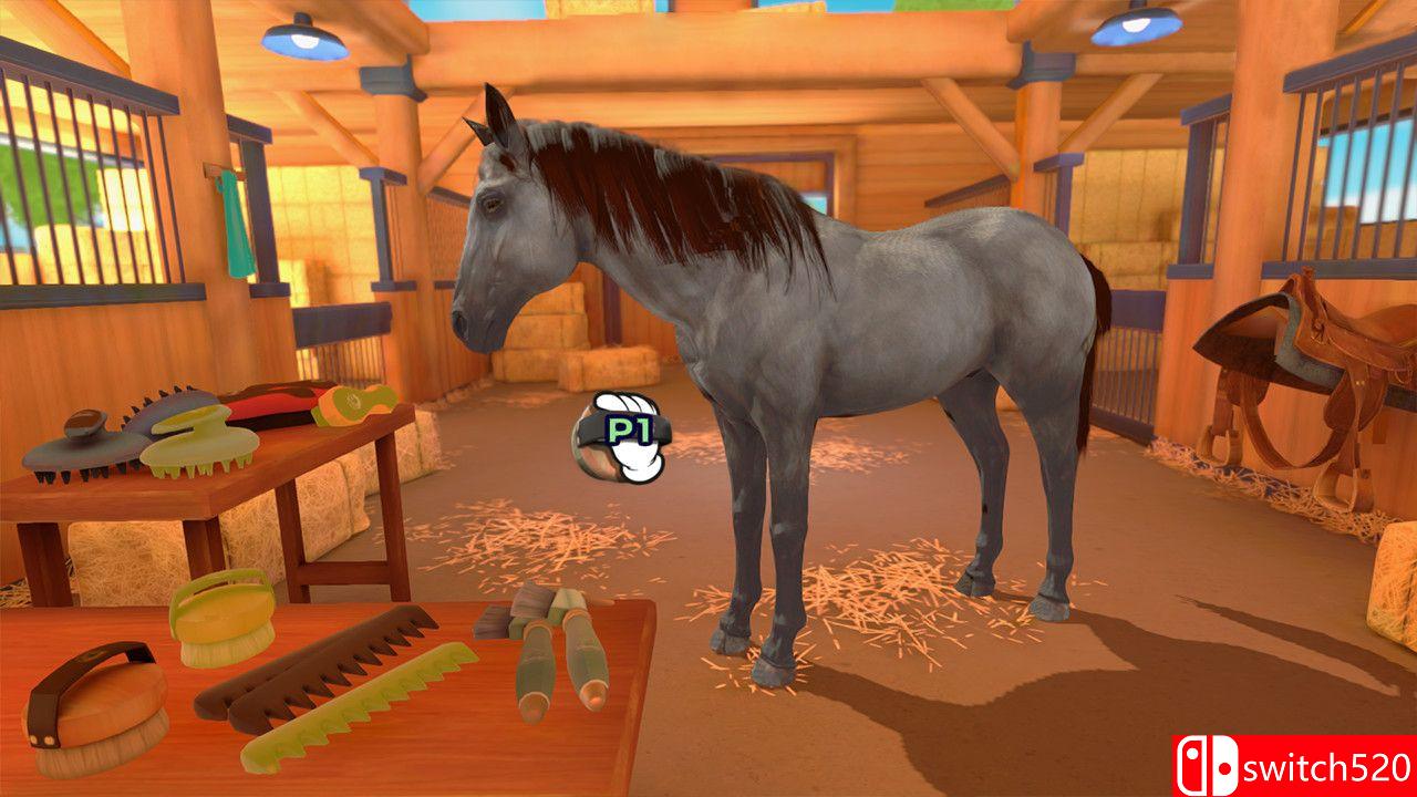 马术训练游戏截图5
