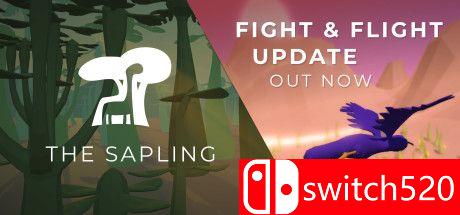 游戏《树苗》封面图