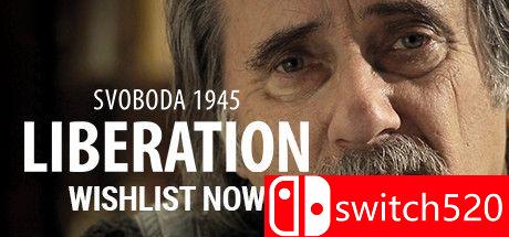 《斯沃博达1945：解放》游戏主图