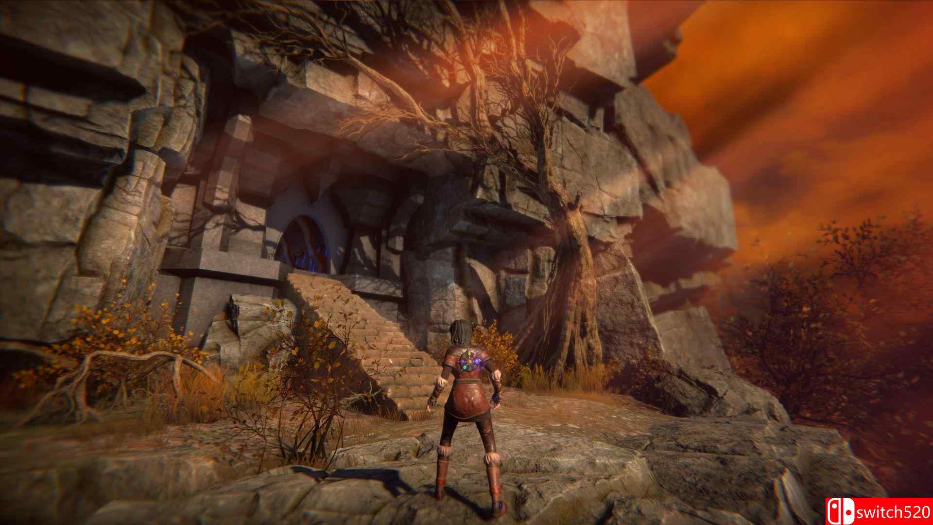 《生命之种》游戏截图4