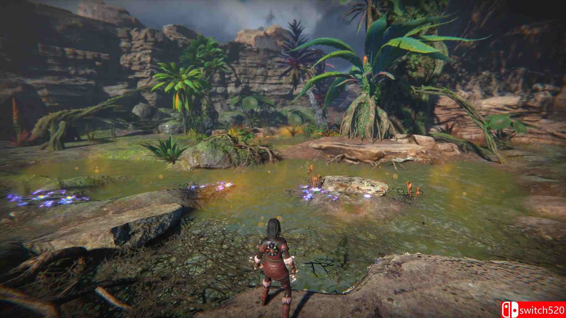 《生命之种》游戏截图2