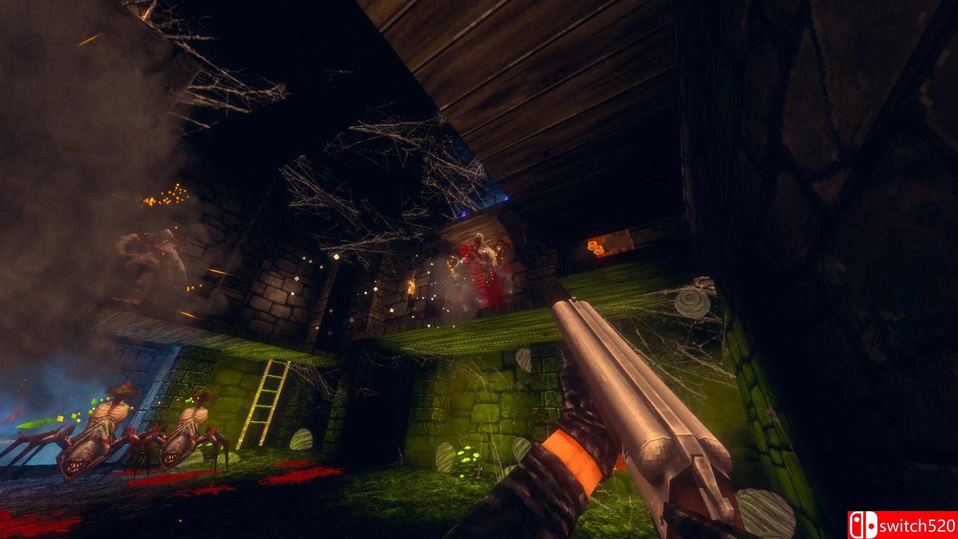 《恐惧圣殿骑士》游戏截图2