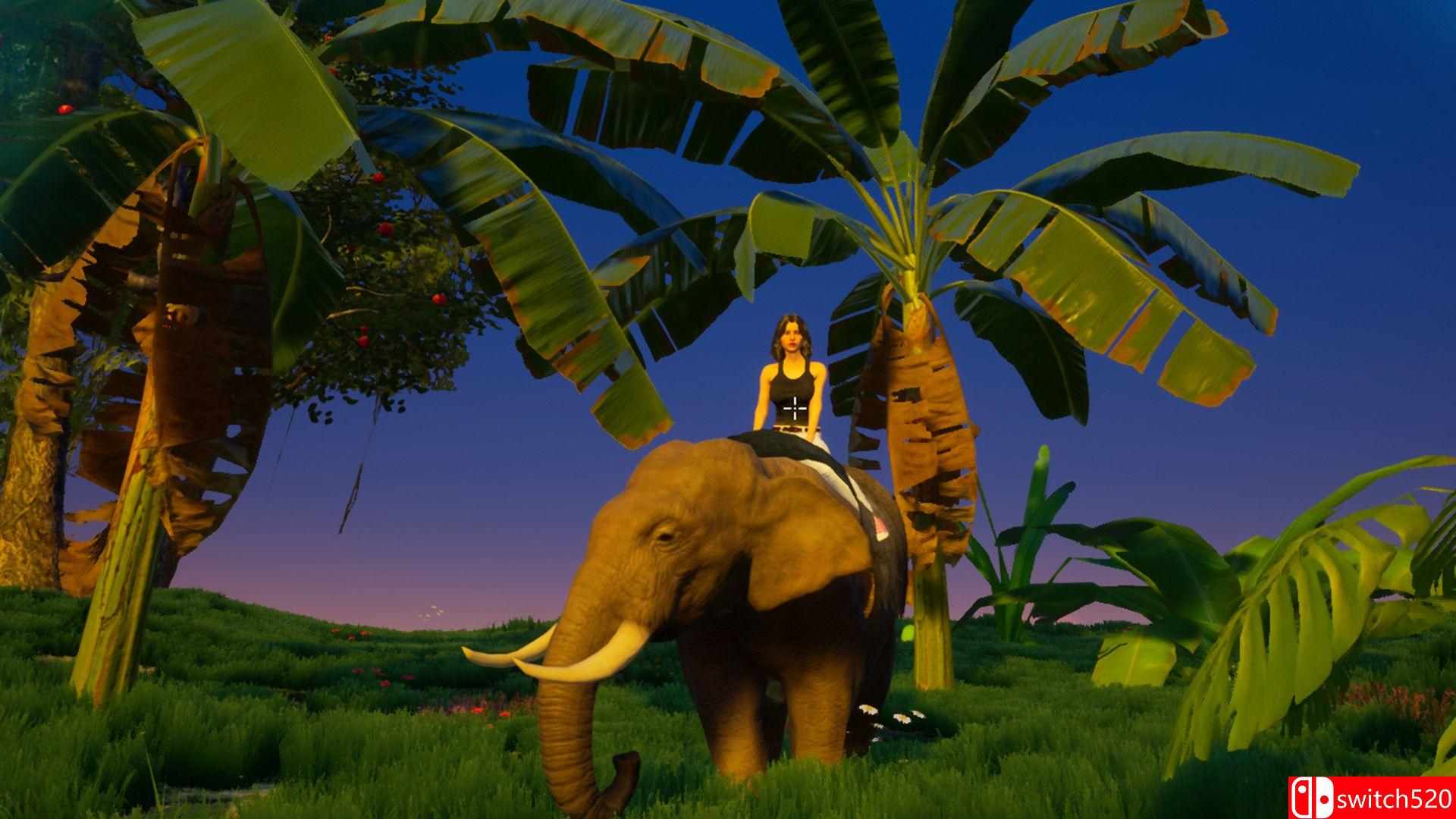 《我的海岛》游戏截图1