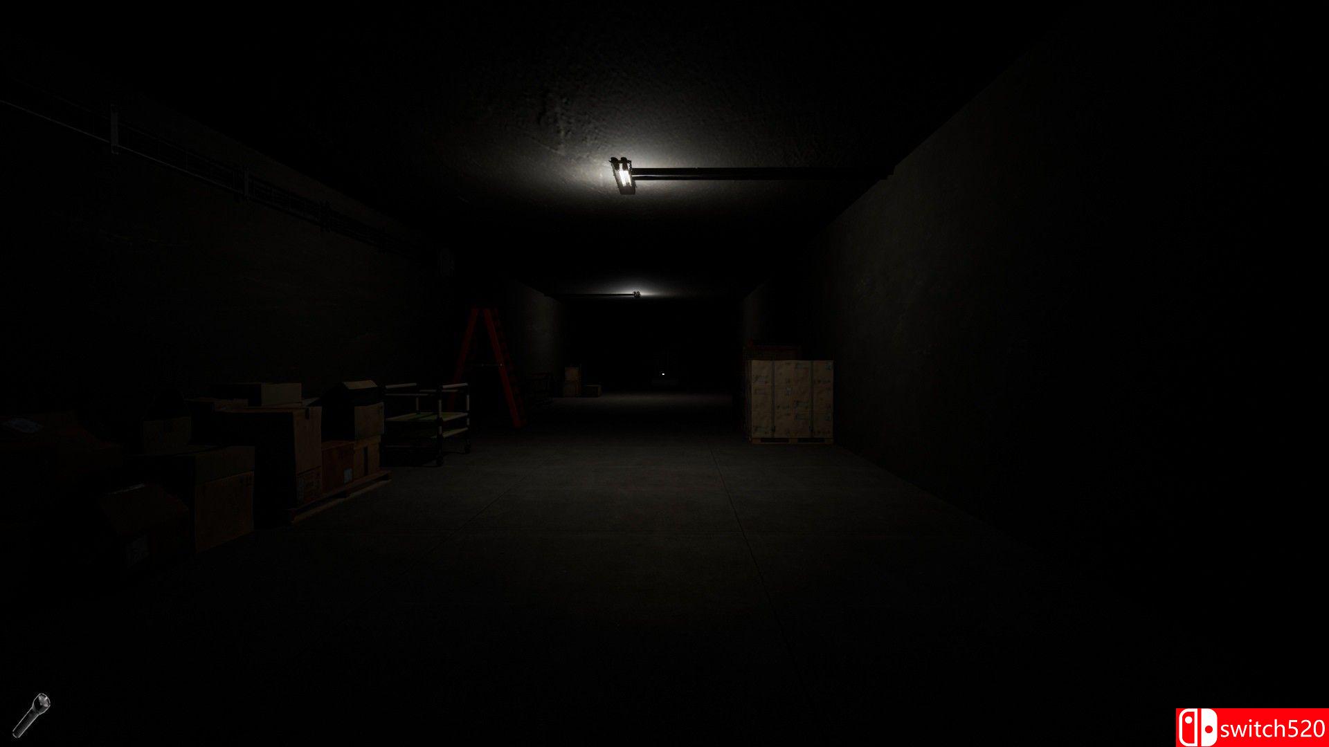 《在黑暗中低语（Whispers in the Dark）》官方中文 DOGE镜像版[CN/EN]_2