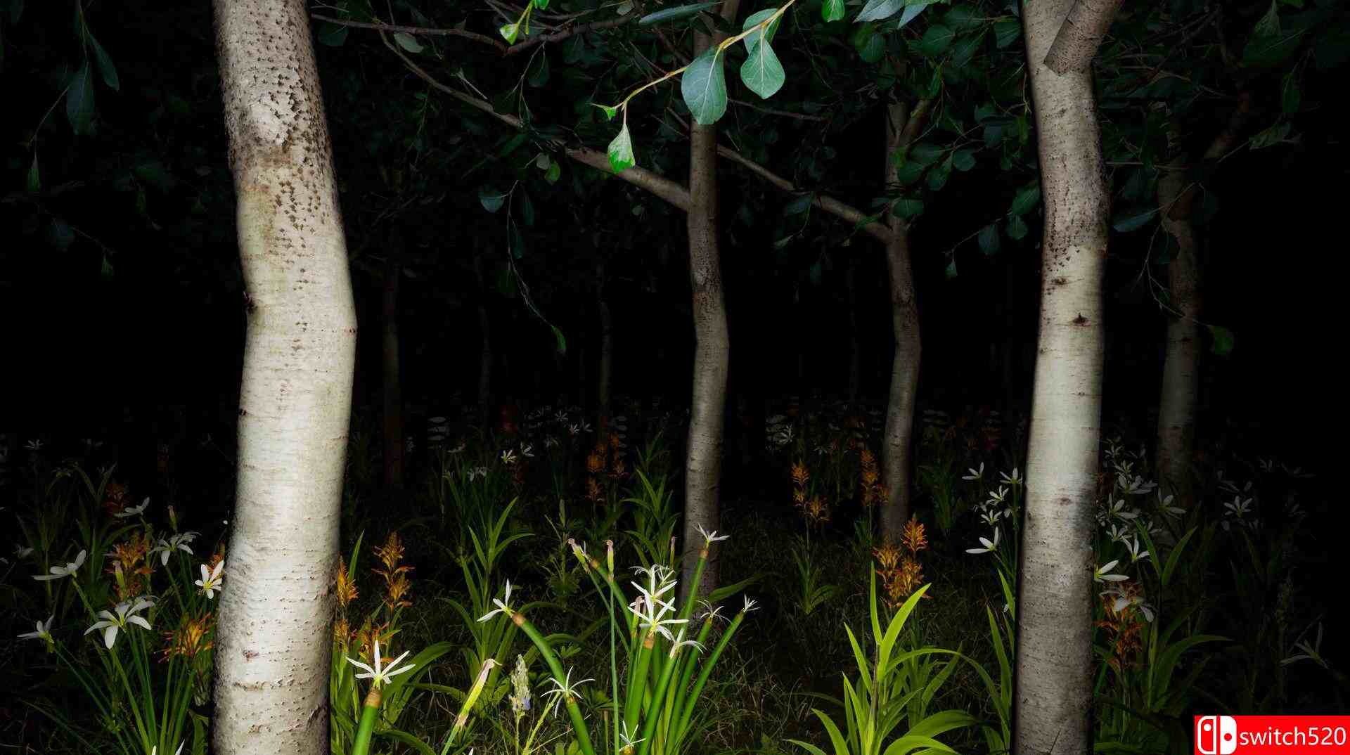 《修女的预言》游戏截图4