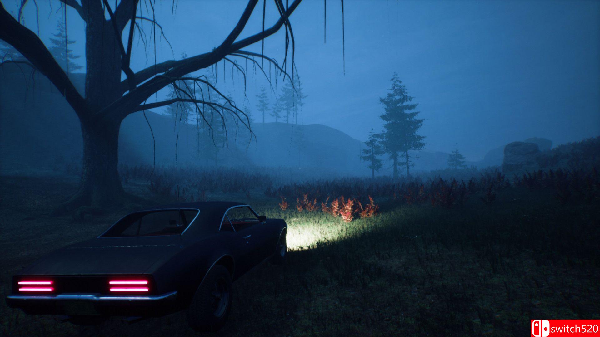 《欢迎来到松山（Welcome to PINEHILLS）》DARKSiDERS镜像版[EN]_3