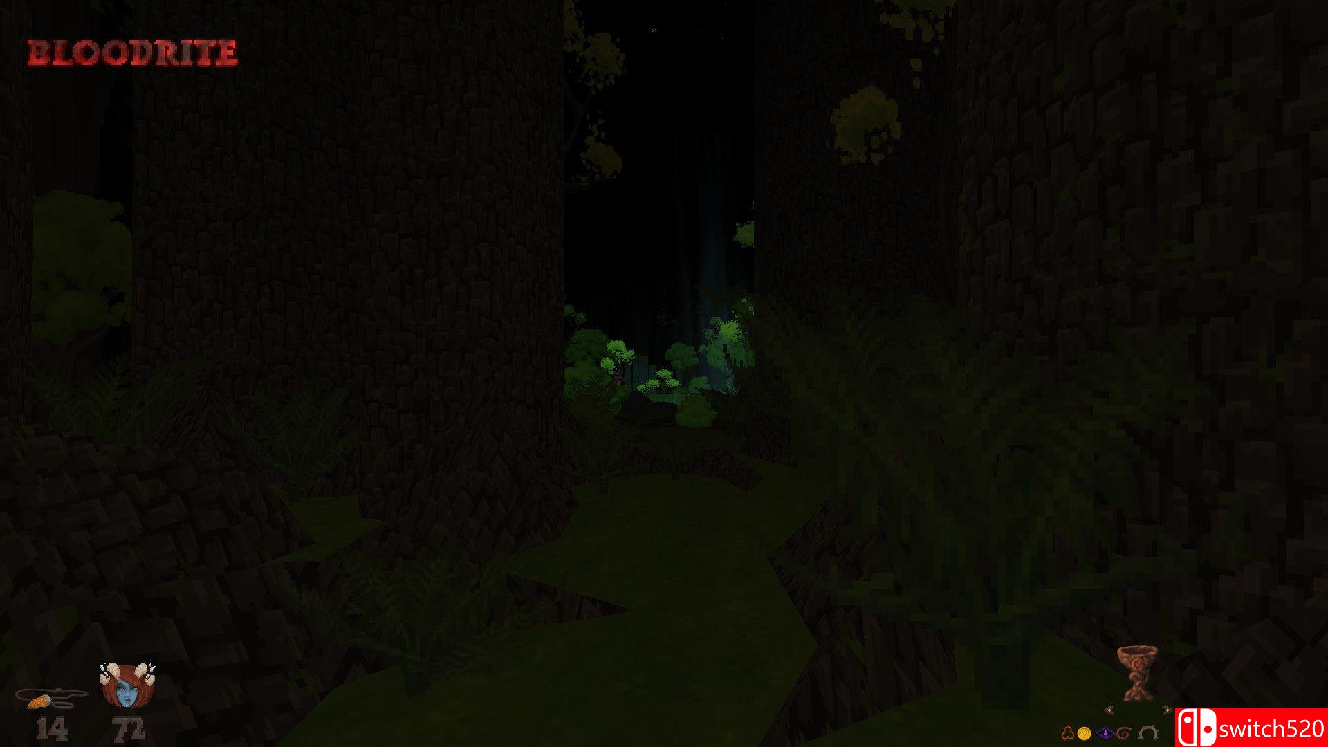 《赫顿血石（Hedon Bloodrite）》v2.2.0 FCKDRM镜像版[EN]_3