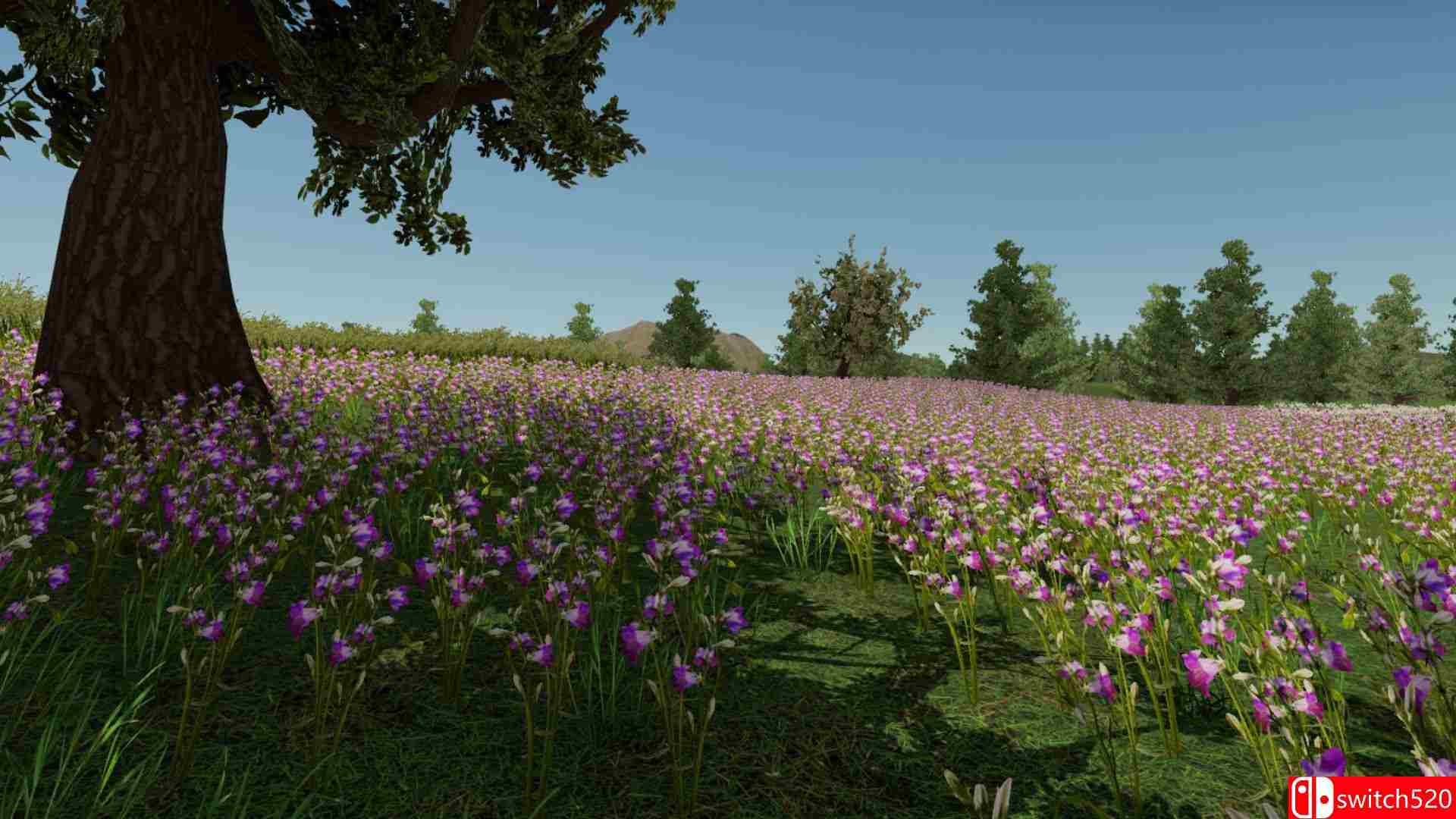 《我的乡村生活（My Village Life）》Early Access P2P硬盘版[EN]_3