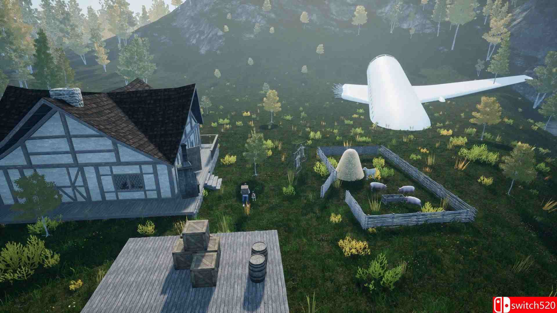 《Vilset》游戏截图5