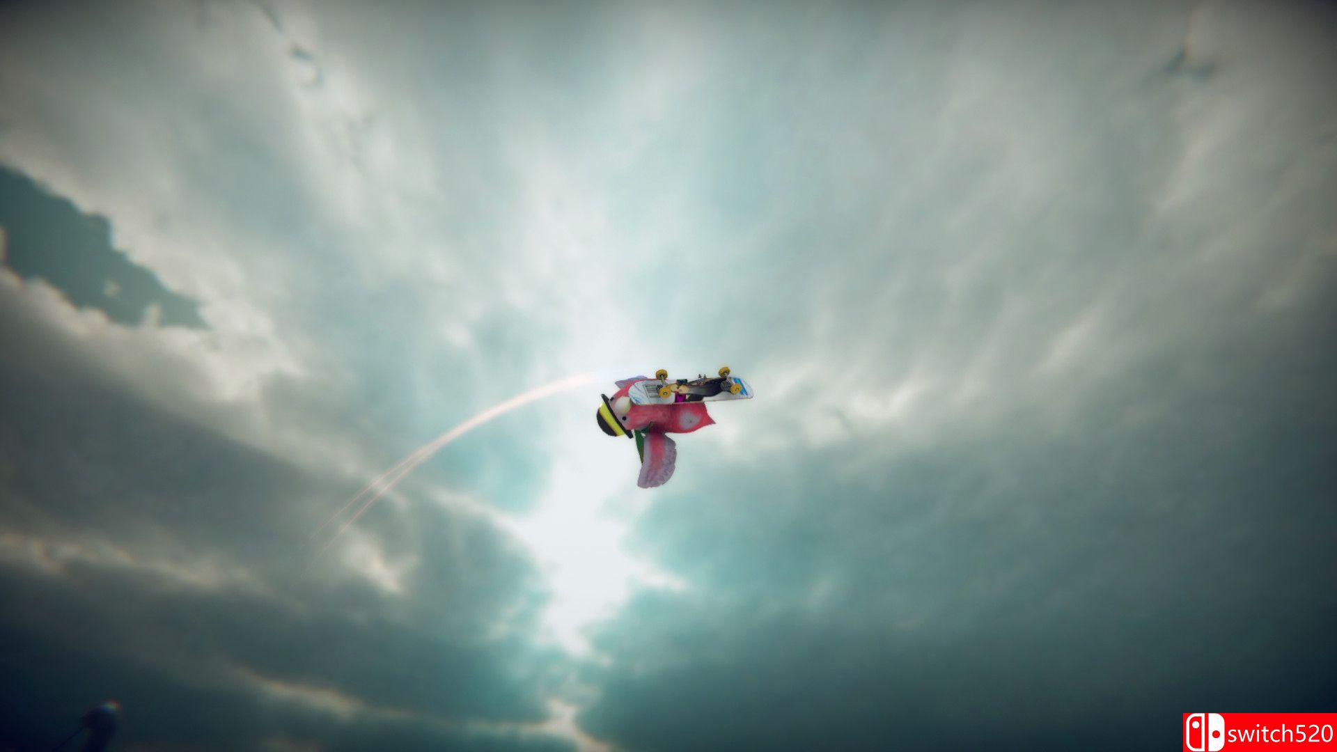 《滑板鸟》游戏截图4