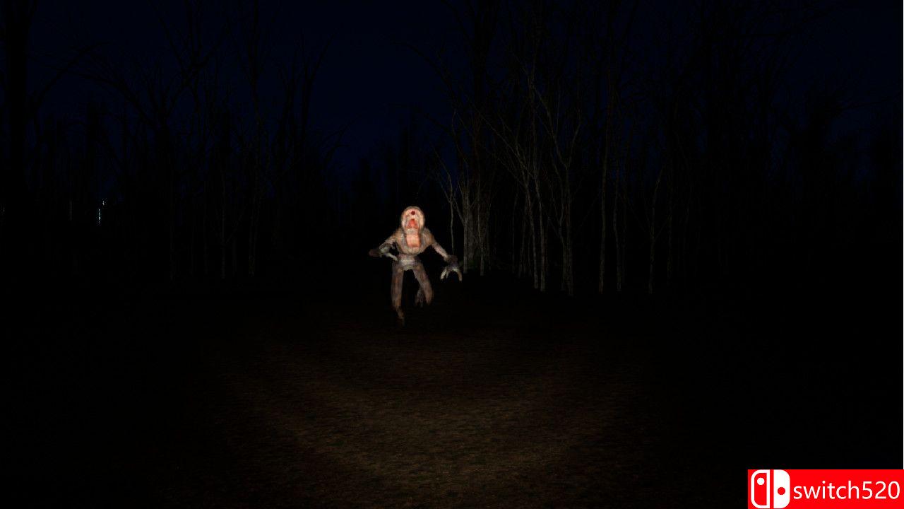 《命运之夜》游戏截图4