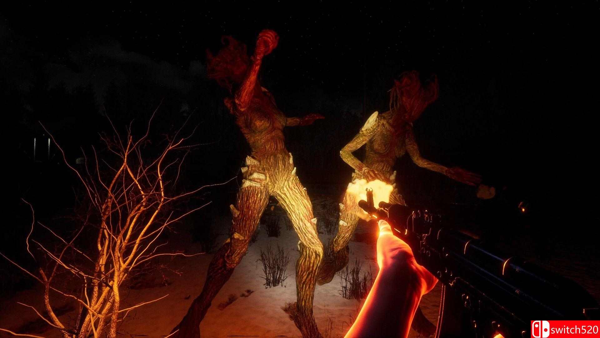 《未知森林》游戏截图2