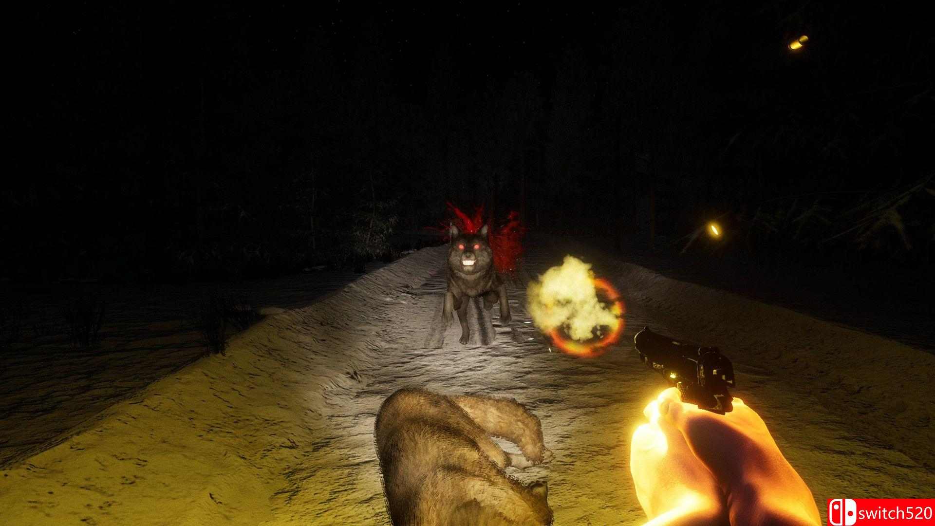 《未知森林》游戏截图1